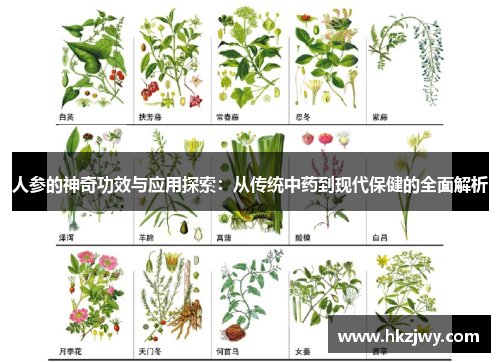 人参的神奇功效与应用探索：从传统中药到现代保健的全面解析